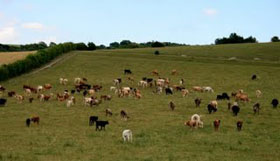 Visit Kent Today and Yesterday